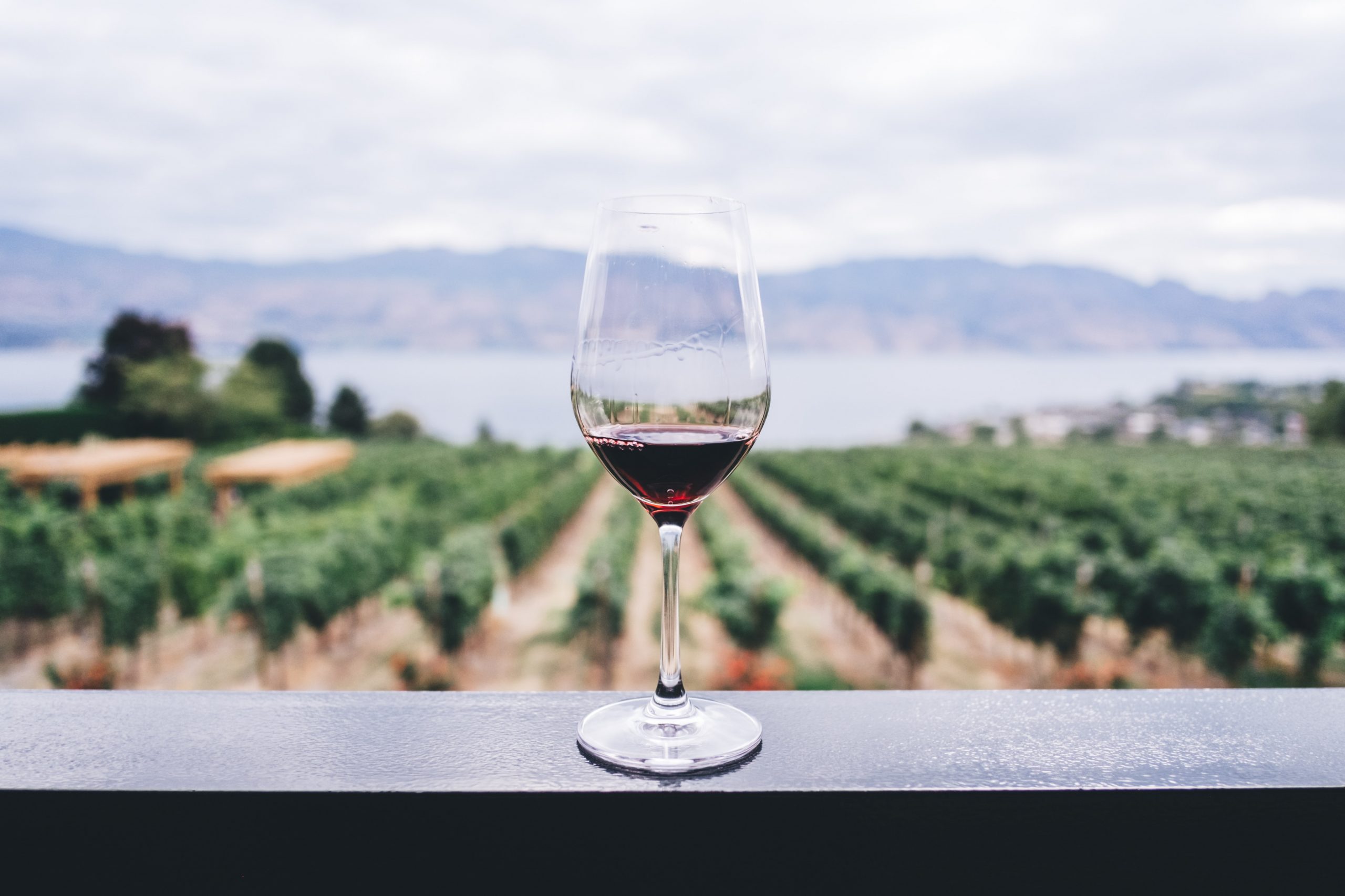Taça de vinho transparente apoiada em uma bancada cinza. Ao fundo, uma vinícola.